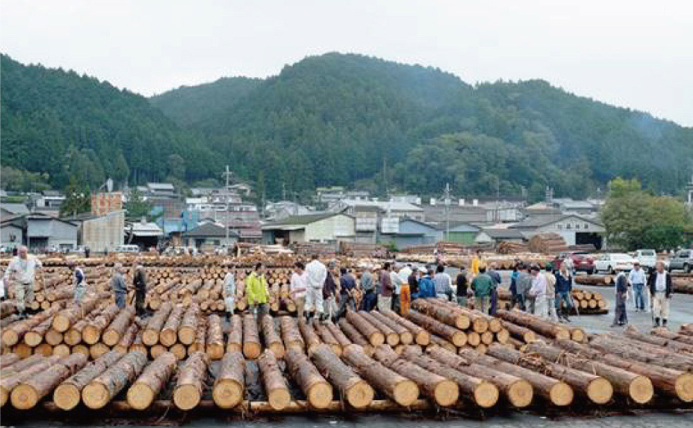 吉野貯木場の競り市